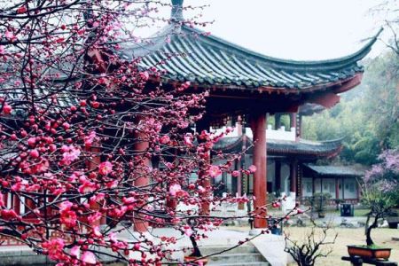 2022武汉东湖春节有啥好玩的地方