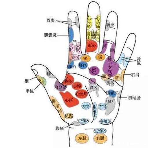 手部反射区图解与疾病高清图大全,手部6大经络清晰图片