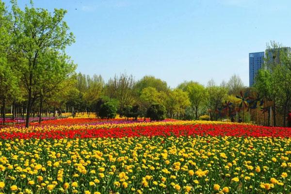 2022郑州春季赏花好玩的地方