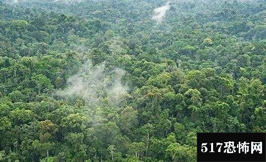 地球之肺是哪片热带雨林