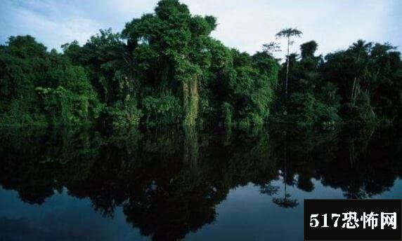 地球之肺是哪片热带雨林