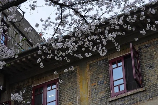 武汉大学樱花城堡古代是怎样的?故事由来介绍