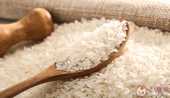 米放久了为何会生虫 怎么样防止大米生虫