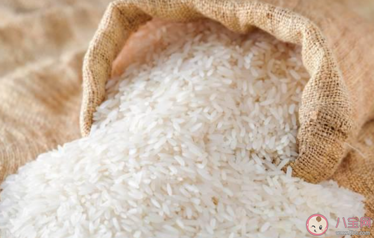 米放久了为何会生虫 怎么样防止大米生虫
