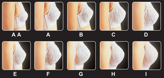 女性胸围尺寸：女性标准三围尺寸对比表（最全胸围对比）