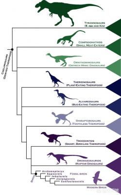 恐龙是什么时候灭绝的图更多？恐龙什么时候灭绝的什么代