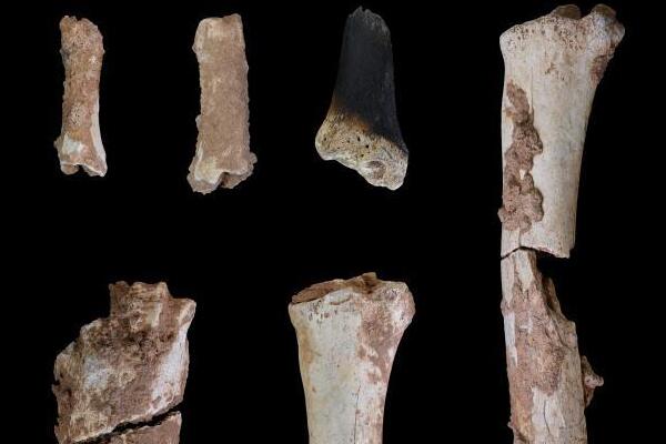 3万年前现代人类头骨化石：仙人洞遗址(河南鲁山)