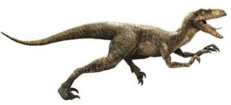 齿河盗龙：阿根廷大型食肉恐龙（长7米/距今6500万年前）