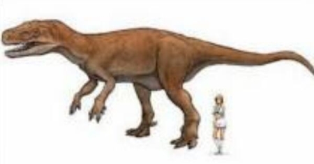 阿里瓦龙：非洲大型食草恐龙（长8米/距今2.1亿年前）