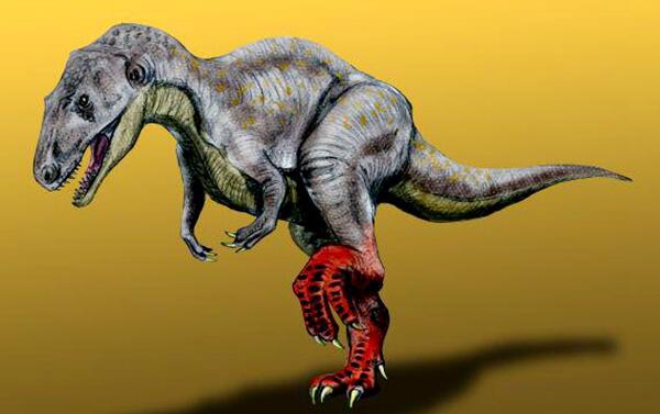 中华盗龙：新疆大型食肉恐龙（长8米/距今1.44亿年前）