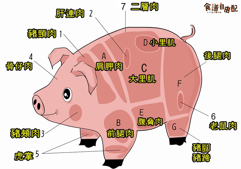猪各部位肉的名称图片全解