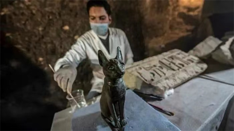 金字塔这下闹大了，考古再出猛料：帝王谷意外发现活了4000年的猫