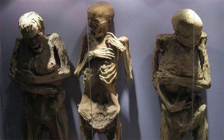 西方盗墓“黑历史” 被欧洲人研磨成“神药”的埃及木乃伊