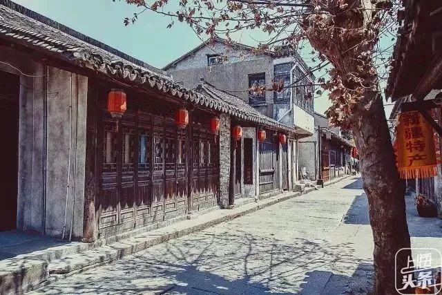 上海一日游最佳景点自由行（上海适合一日游的100个景点）(11)