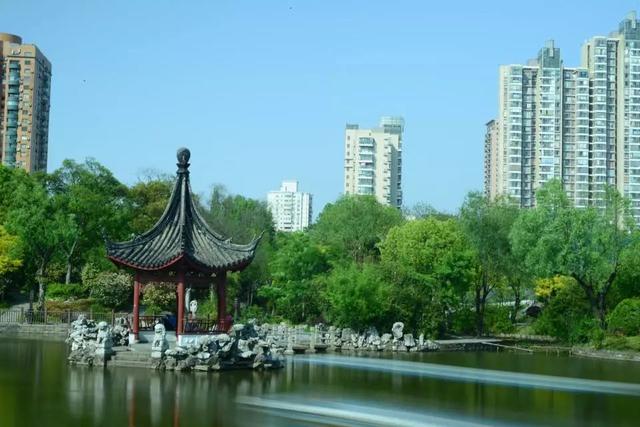 上海一日游最佳景点自由行（上海适合一日游的100个景点）(82)