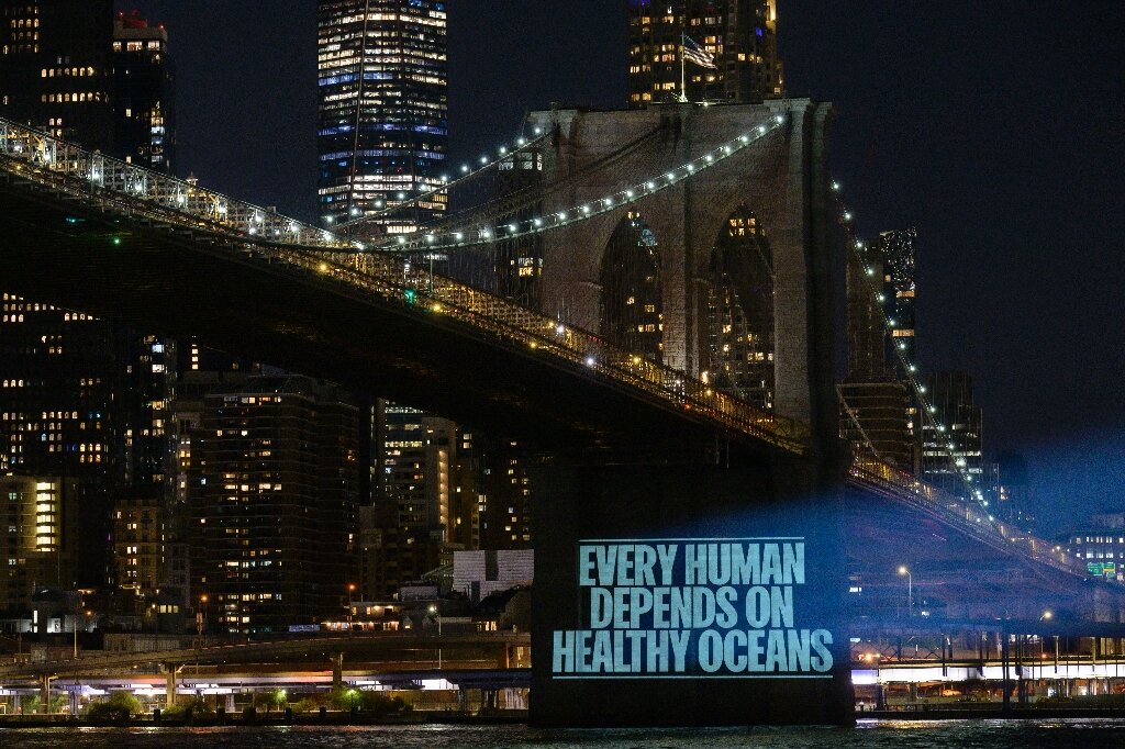 联合国召开会议保护公海，绿色和平组织：“每个人都依赖于健康的海洋”