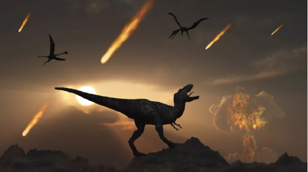 为什么蟑螂能在导致恐龙灭绝的小行星碰撞中幸存下来？