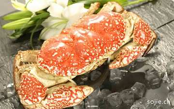 世界上最贵的螃蟹排名前十