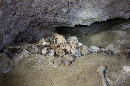 古DNA研究揭示5,100年来青藏高原人群的演化历史