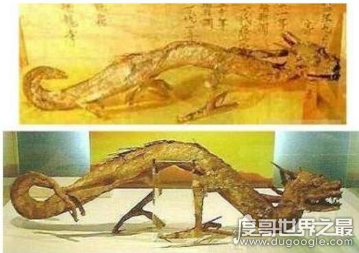 罕见的06年真龙吃人的照片曝光，传说中的龙真的存在