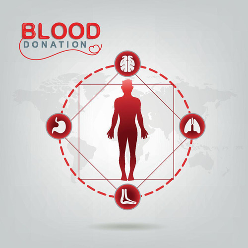 什么是贫血 正常人的血液成分