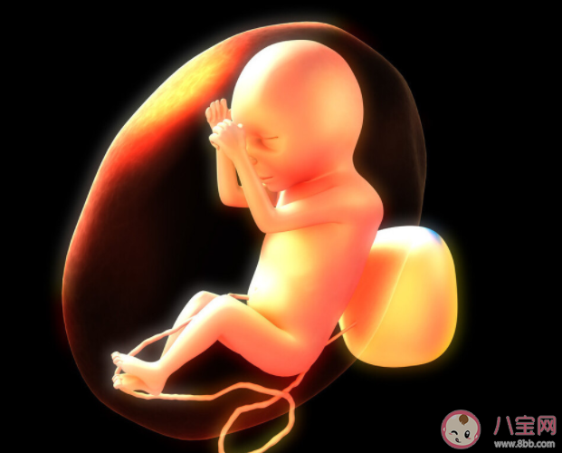 胎儿在肚子里会痛会无聊吗 胎儿10大奥秘知识