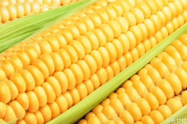 如何区分老玉米和新玉米 如何挑选玉米呢