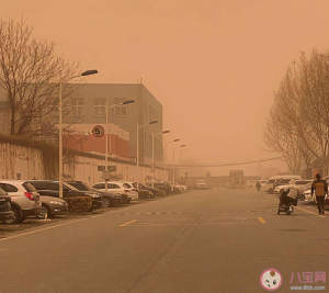 沙尘天气等级划分标准是什么2023 沙尘天气对身体伤害有多大