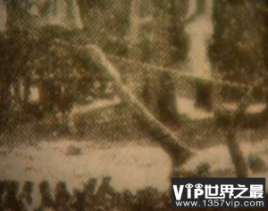 1934年辽宁营口坠龙事件是真的吗？龙骨证据竟被日本人盗走