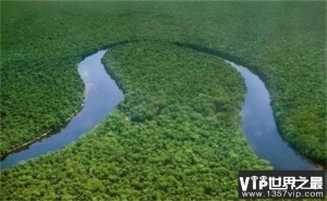 世界上最大的盆地 非洲的刚果盆地