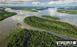 世界上最大的盆地 非洲的刚果盆地