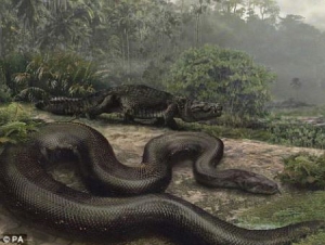 奇怪巨蛇现身马来西亚 马来西亚惊现30米巨蛇