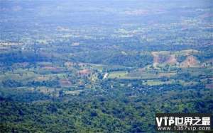 全世界森林面积最大的国家 南美洲苏里南（森林覆盖）