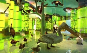 上海科技馆和自然博物馆哪个好玩？上海科技馆坐地铁怎么走快啊