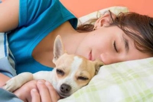 美女与狗狗睡觉会发生什么故事,女生和狗狗睡觉的好处这么多
