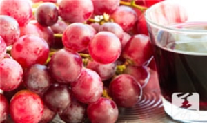 肾功能不全能吃葡萄吗