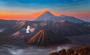 世界上火山最多的洲是南美洲吗？南美洲最可怕的动物是什么
