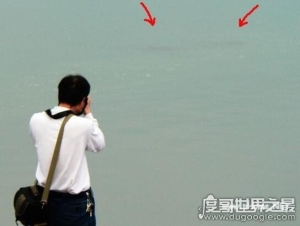 广东湛江湖光岩水怪真相，多人目击龙鱼神龟的传说