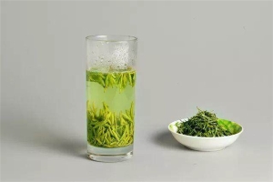 绿茶可以做奶茶吗 绿茶和什么一起泡最好