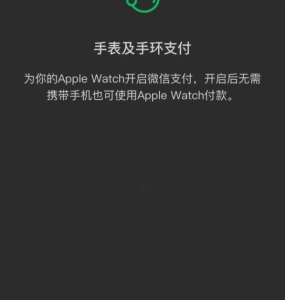 applewatchseries7可以微信支付吗