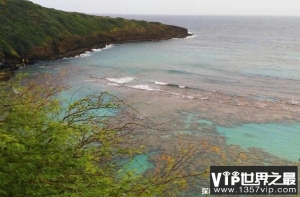 世界上年降水量最多的地方 夏威夷位于太平洋(全年有降雨)