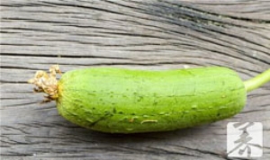 丝瓜子的功效与作用及食用方法