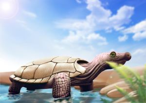南雄盆地大凤组发现一亿年前白垩纪晚期的大型龟鳖类化石——杨氏南雄龟