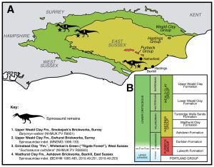 白垩纪的英国生活着几个不同的棘龙群体
