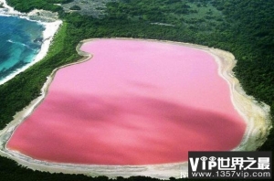 世界上十大最奇怪的湖泊 帕劳无毒水母湖(独特的景点)