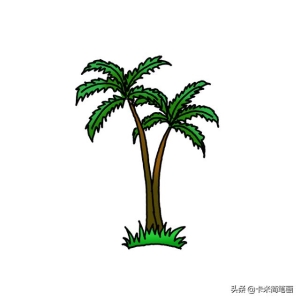 棕榈树怎么画好看（如何画棕榈树-）(7)