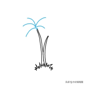 棕榈树怎么画好看（如何画棕榈树-）(4)