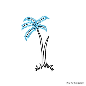 棕榈树怎么画好看（如何画棕榈树-）(5)