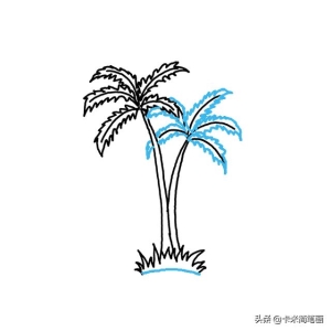 棕榈树怎么画好看（如何画棕榈树-）(6)