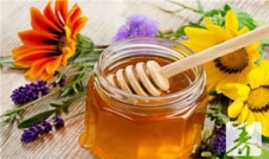 葛根粉加蜂蜜的作用与功效
